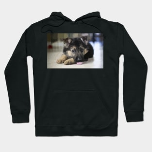 German Shepherd Puppy Digital Painting Hoodie